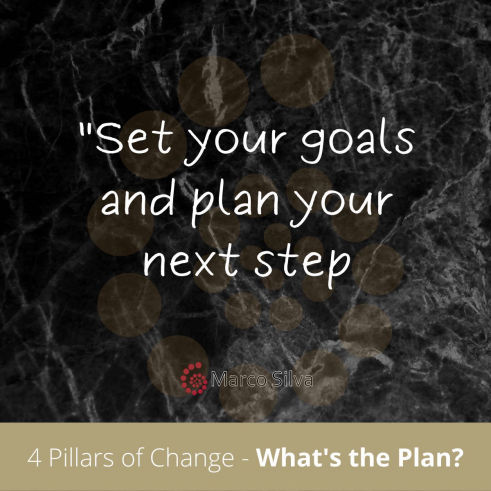 Marco Silva Coaching - 4 Pillars of change - what's the plan?