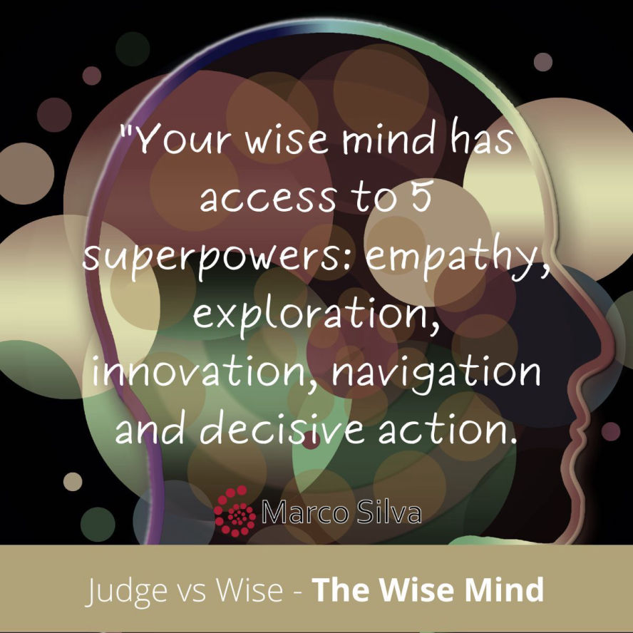 Marco Silva Coaching - Judge vs Wise - The wise Mind